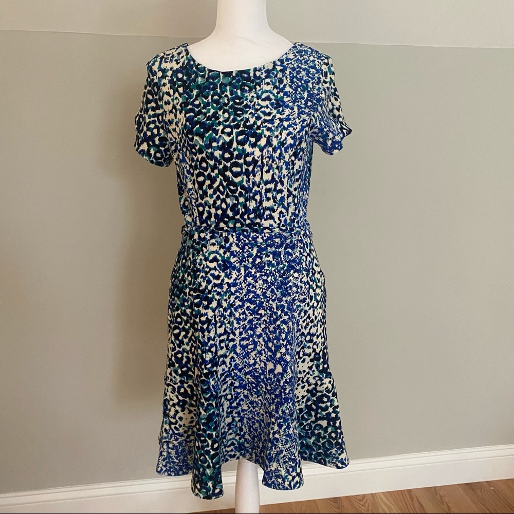 Love…Ady Blue and Teal Leopard Print Dress